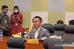 Legislator minta adanya pengawasan dan penegakan hukum pada kebijakan baru minyak goreng