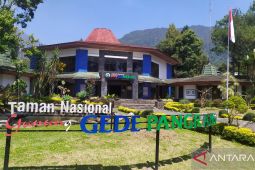 Cuaca ekstrem, TNGGP Cianjur evaluasi pembukaan jalur pendakian