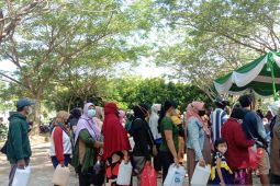 Pemrov Kalbar dorong distributor segera suplai minyak goreng