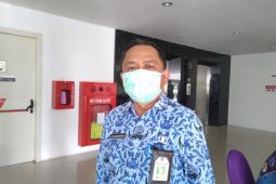 13 ribu hektare perkebunan karet di Kalsel perlu peremajaan