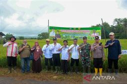 HST  bagian penting pemasok kebutuhan pangan IKN