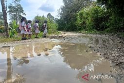 Tiga kilometer jalan kupak-kapik disebut akibat operasional PLTMH hingga usul ditangani Pemkab Taput