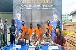 Polda Kalsel tangkap dua kapal pengangkut kayu hasil perambahan hutan