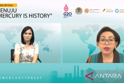 KLHK mendukung penghapusan merkuri PESK dengan solusi alih profesi