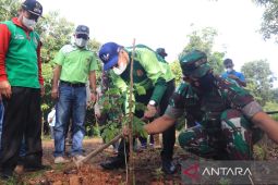 Bakti sosial dan penanaman pohon jadi rangkaian HUT Banjarbaru