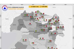 29 pasien COVID-19 di Kabupaten Sukabumi sembuh