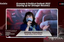 Kadin Indonesia bentuk "Carbon Market Hub" dukung transisi energi