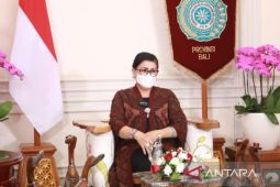 Ketua PKK Bali ajak masyarakat cegah sakit mental