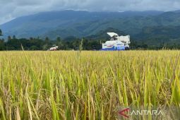 Investasi strategis tingkatkan daya saing petani