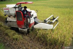 Presidensi G20 dorong ketahanan pangan dunia yang berkelanjutan