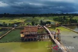 Bujur Matahari, attraction in the middle of paddy fields