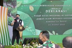 Pemkab Kediri fokus tanam ficus untuk konservasi alam