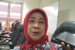 Pemkot Ambon agar pangkas pohon yang miring di tepi jalan