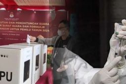 Sistem digitalisasi pemilu harus aman dari peretasan
