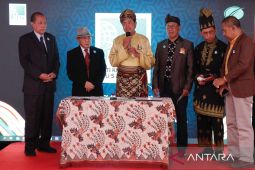PT IKN bertugas percepat pembangunan ibu kota baru