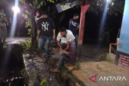 Polres temukan belasan batang pohon ganja di Kabupaten Sukabumi