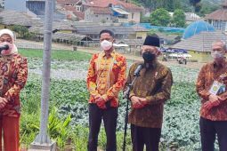 Wapres: Masalah ketenagakerjaan masih jadi isu sentral