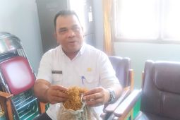 Kabupaten Batanghari dorong petani tanam talas beneng