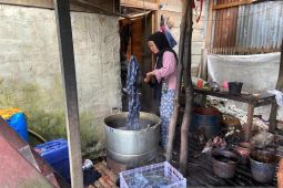 Mendorong pelaku usaha ultra mikro naik kelas