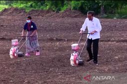 Jokowi perintahkan 40 persen anggaran untuk produk lokal
