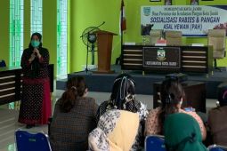 Kota jambi gelar sosialisasi pencegahan rabies