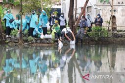 DPKPP Kota Probolinggo tebar ribuan benih ikan untuk kembalikan ekosistem