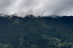 Taman Nasional Manusela Kembali Buka untuk traveller "healing" di keindahan alam