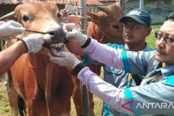Pemkab Bangkalan usulkan tambahan dokter hewan