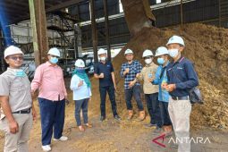 PT KIU gratiskan limbah sawit untuk pakan ternak