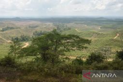BRIN conducts research to strengthen food security in IKN Nusantara