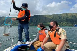 Regal  Spring tabur 100.000 benih ikan di kawasan Danau Toba