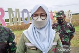DPTPH Kaltim:Minyak goreng curah dari Pemerintah berkualitas