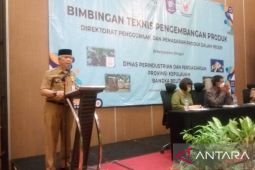 Disperindag Bangka Belitung tingkatkan kemampuan pelaku UMKM kembangkan produk