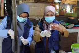 DKPPP Cirebon pastikan persediaan pangan aman dari bahan berbahaya