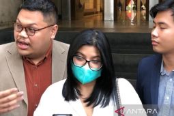 Dea OnlyFans sampaikan permintaan maaf terkait konten pornonya