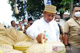 Wagub Jabar dorong desa mendongkrak potensi daerah untuk kesejahteraan warga