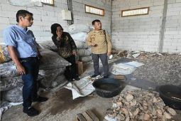Bupati Merangin minta petani tak ragu tanam porang
