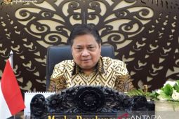 Indonesia, large countries working to address global disruptions