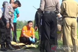 Polresta Madiun selidiki kasus pembuangan jasad bayi di irigasi sawah