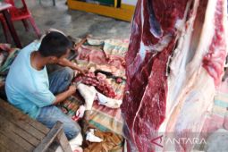 Harga daging sapi di Meulaboh tembus Rp170 ribu/kilogram