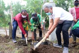 DSDABM jaga persediaan air di Kota Surabaya dengan penanaman pohon
