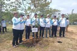 BWS tanam pohon untuk penghijauan lingkungan di Mukomuko