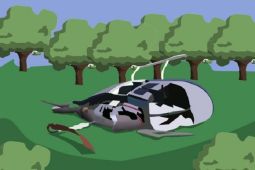 Helikopter militer Jerman jatuh ke sungai, dua tewas