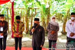 Pemerintah kembangkan kawasan hortikultura berorientasi ekspor