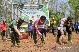 Pemkab Balangan tanam porang dengan program Pokar