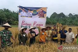 Panen raya, Wabup Labura ingin lahan pertanian dipertahankan
