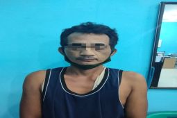 Curi besi beton 180 batang bangunan ruko di tangkap penjaga malam