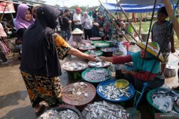 KKP catat tren permintaan ikan naik awal Ramadhan  dan setelah Lebaran