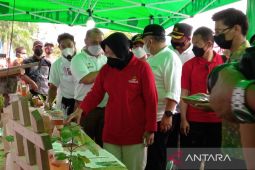 Pemerintah Kabupaten Bangka Barat dorong kemandirian pelaku UMKM