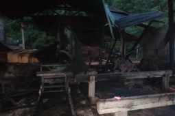 Kilang Kayu di Aceh Jaya hangus terbakar